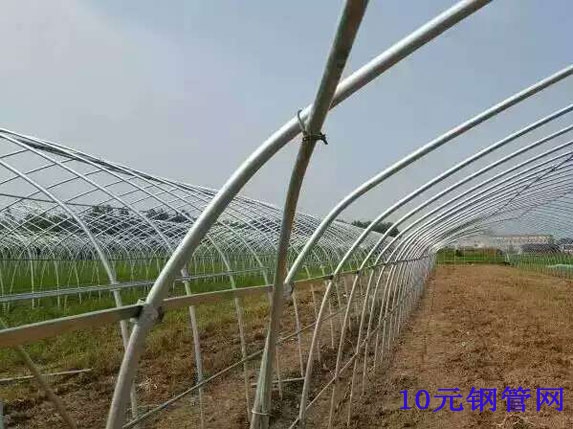 大棚斜撐、卡槽連接圖片