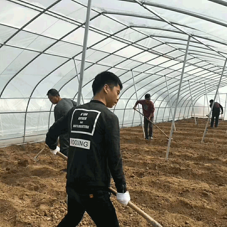 簡易拱棚(農(nóng)用大棚)高清圖片 簡易拱棚(農(nóng)用大棚)高清圖片