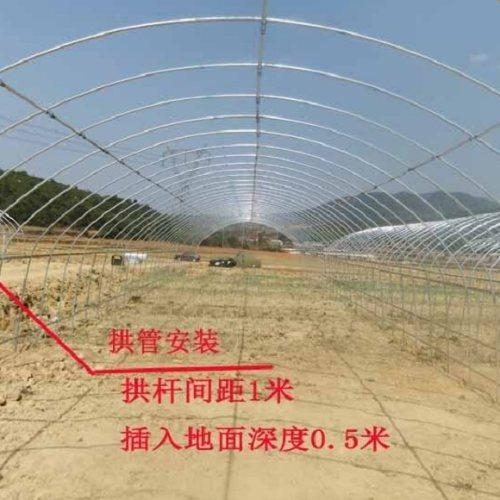 溫室大棚安裝圖片 溫室大棚安裝圖片