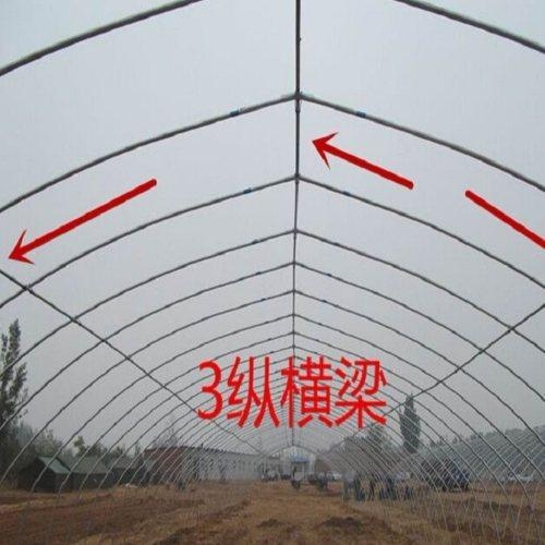溫室大棚安裝圖片 溫室大棚安裝圖片